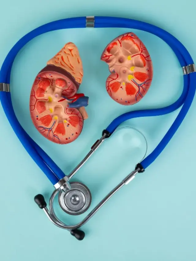 Kidney Wellness Tips and Care