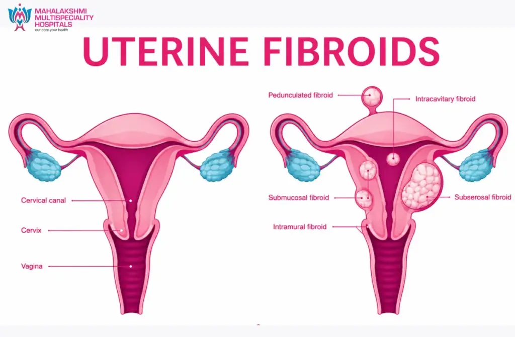 Obstetricians & Gynecologists in Tamilnadu