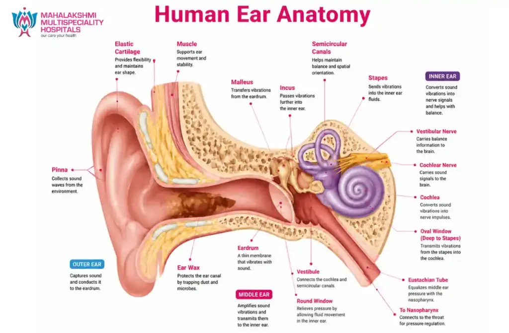 ear wax blockage